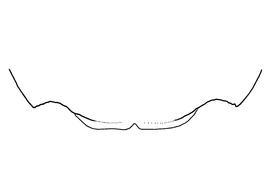 Fig 4,  Anthidium mormonum  female, diagram showing the dorsal view of the sixth tergite (T6), diagram from Gonzalez and Griswold 2013 
